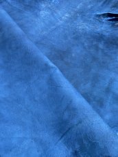 画像9: クードゥー　ブルー　クーズー　KUDU (9)