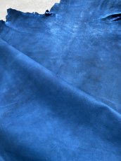 画像10: クードゥー　ブルー　クーズー　KUDU (10)