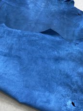 画像11: クードゥー　ブルー　クーズー　KUDU (11)