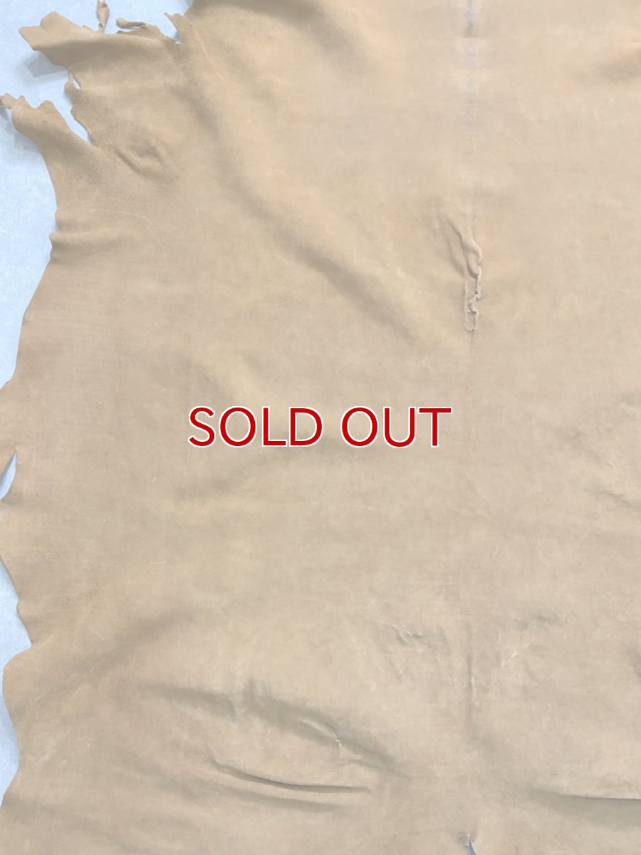 画像6: KUDUクードゥー　 床革スウェード　キャメル　クーズー (6)