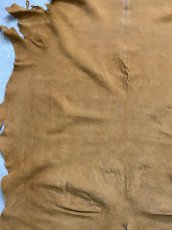 画像6: KUDUクードゥー　 床革スウェード　キャメル　クーズー (6)