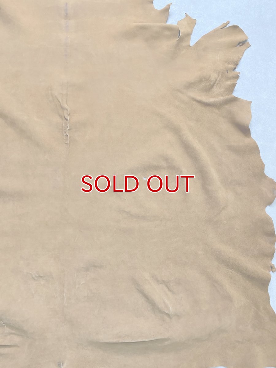 画像7: KUDUクードゥー　 床革スウェード　キャメル　クーズー (7)