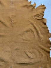 画像7: KUDUクードゥー　 床革スウェード　キャメル　クーズー (7)