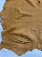 画像8: KUDUクードゥー　 床革スウェード　キャメル　クーズー (8)