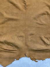 画像9: KUDUクードゥー　 床革スウェード　キャメル　クーズー (9)