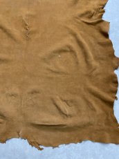 画像10: KUDUクードゥー　 床革スウェード　キャメル　クーズー (10)