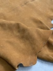 画像2: KUDUクードゥー　 床革スウェード　キャメル　クーズー (2)