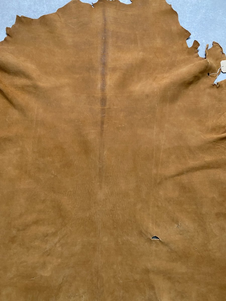 画像6: KUDUクードゥー　 床革スウェード　キャメル　クーズー (6)