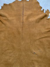 画像6: KUDUクードゥー　 床革スウェード　キャメル　クーズー (6)