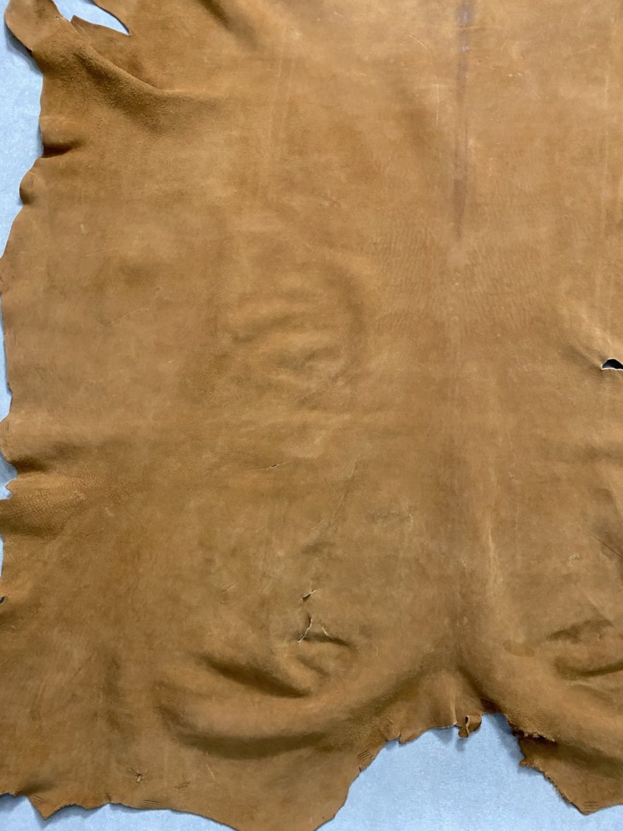 画像9: KUDUクードゥー　 床革スウェード　キャメル　クーズー (9)