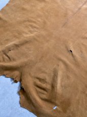 画像3: KUDUクードゥー　 床革スウェード　キャメル　クーズー (3)