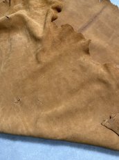 画像12: KUDUクードゥー　 床革スウェード　キャメル　クーズー (12)