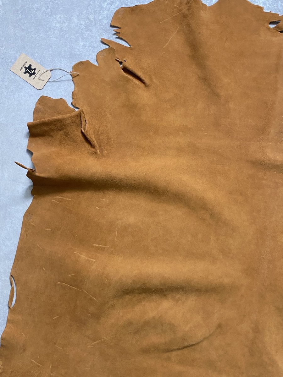 画像6: KUDUクードゥー  床革スウェード キャメル クーズー (6)