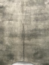 画像8: クードゥー　グレー　クーズー　KUDU (8)