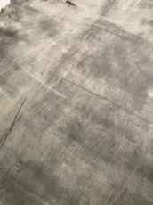 画像2: クードゥー　グレー　クーズー　KUDU (2)