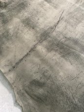 画像3: クードゥー　グレー　クーズー　KUDU (3)
