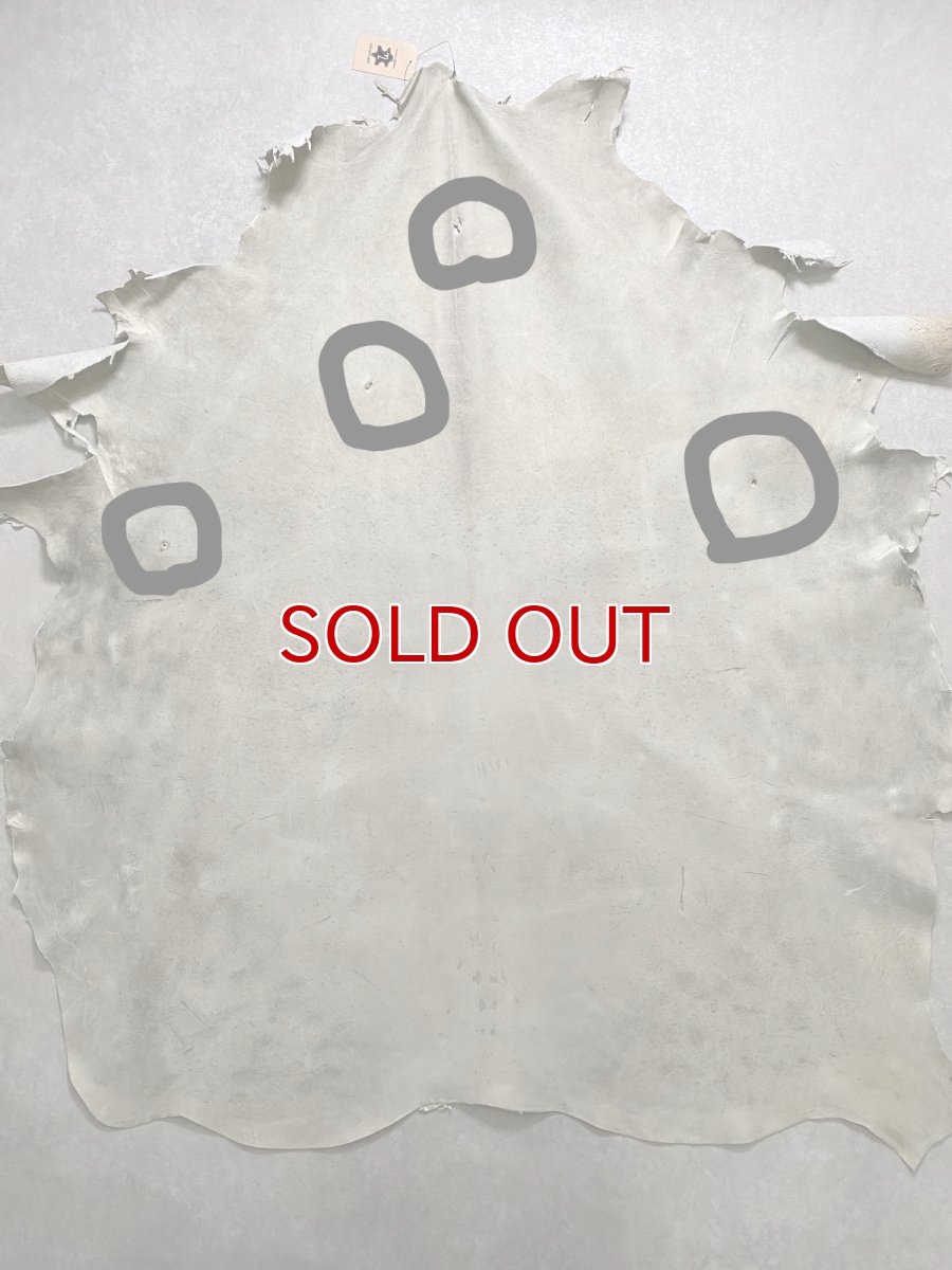 画像2: (お客様専用商品)クードゥー　アイスグレー　クーズー　KUDU (2)