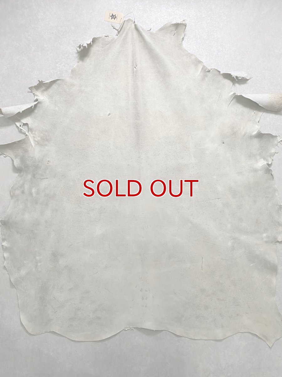 画像1: (お客様専用商品)クードゥー　アイスグレー　クーズー　KUDU (1)