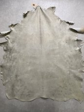 画像1: (お客様専用商品)クードゥー　アイスグレー　クーズー　KUDU (1)