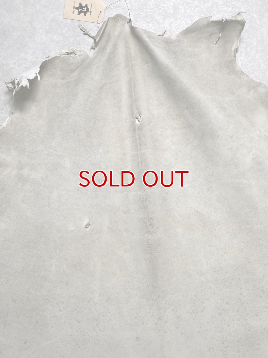 画像4: (お客様専用商品)クードゥー　アイスグレー　クーズー　KUDU (4)