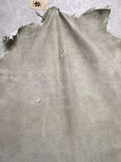 画像4: (お客様専用商品)クードゥー　アイスグレー　クーズー　KUDU (4)