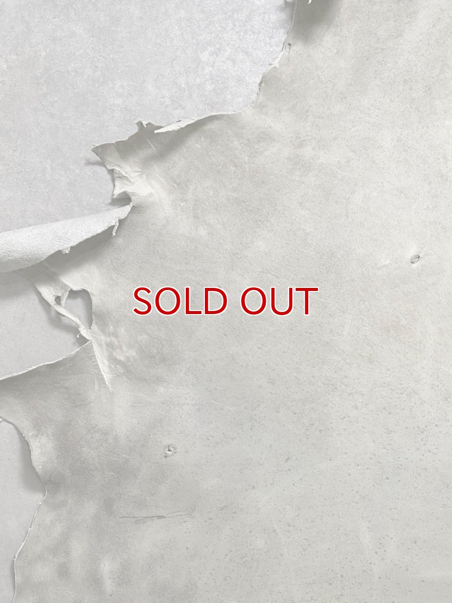 画像3: (お客様専用商品)クードゥー　アイスグレー　クーズー　KUDU (3)