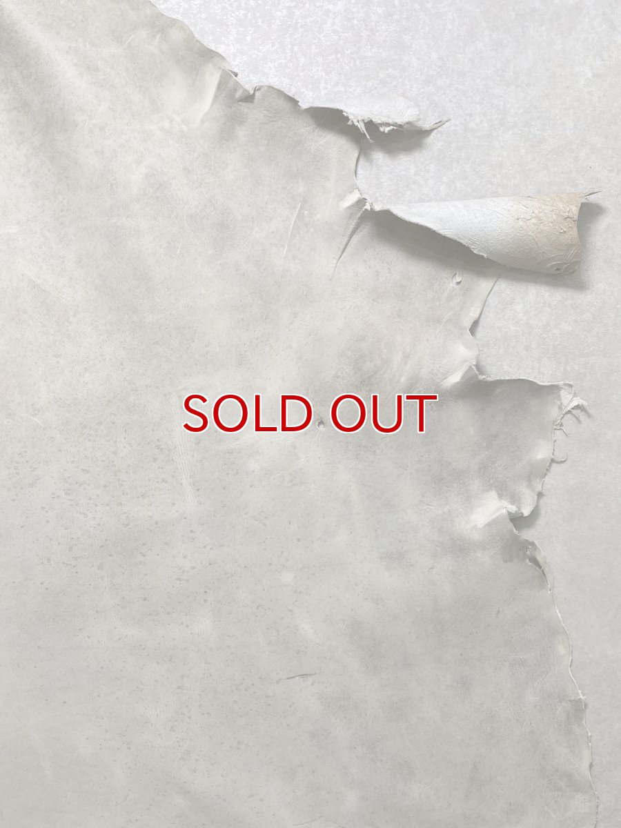 画像5: (お客様専用商品)クードゥー　アイスグレー　クーズー　KUDU (5)