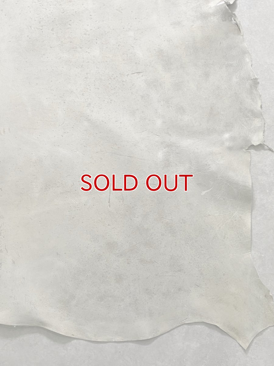 画像7: (お客様専用商品)クードゥー　アイスグレー　クーズー　KUDU (7)