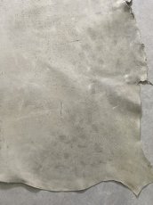 画像7: (お客様専用商品)クードゥー　アイスグレー　クーズー　KUDU (7)