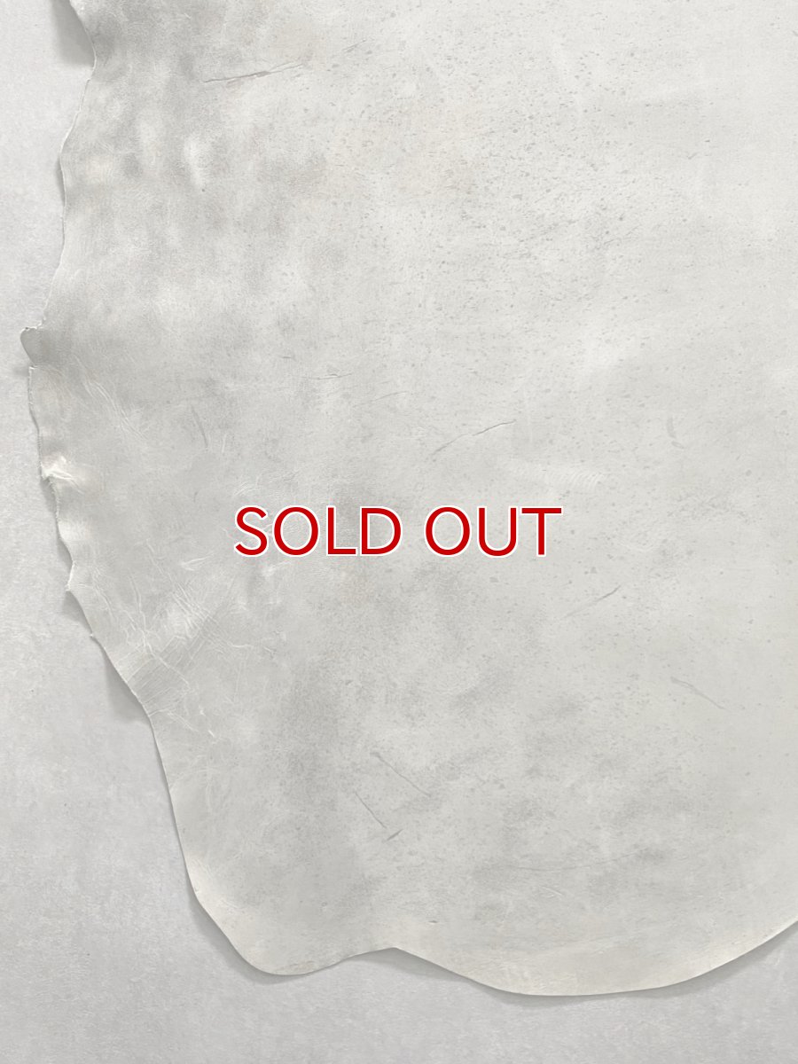 画像6: (お客様専用商品)クードゥー　アイスグレー　クーズー　KUDU (6)