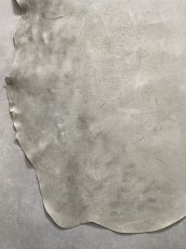 画像6: (お客様専用商品)クードゥー　アイスグレー　クーズー　KUDU (6)