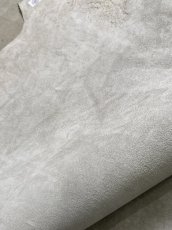 画像9: (お客様専用商品)クードゥー　アイスグレー　クーズー　KUDU (9)