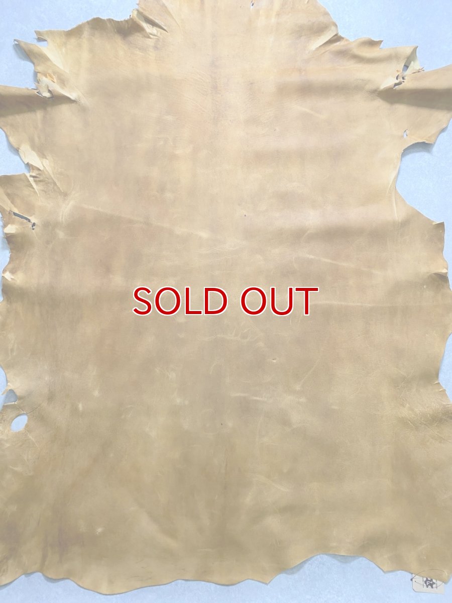 画像1: クードゥー　イエロー　クーズー　KUDU (1)