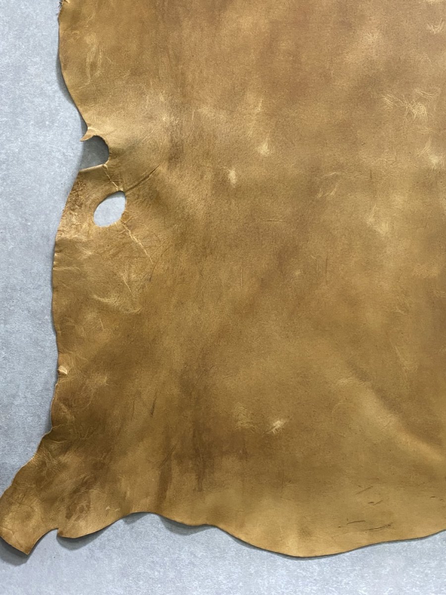 画像4: クードゥー　イエロー　クーズー　KUDU (4)