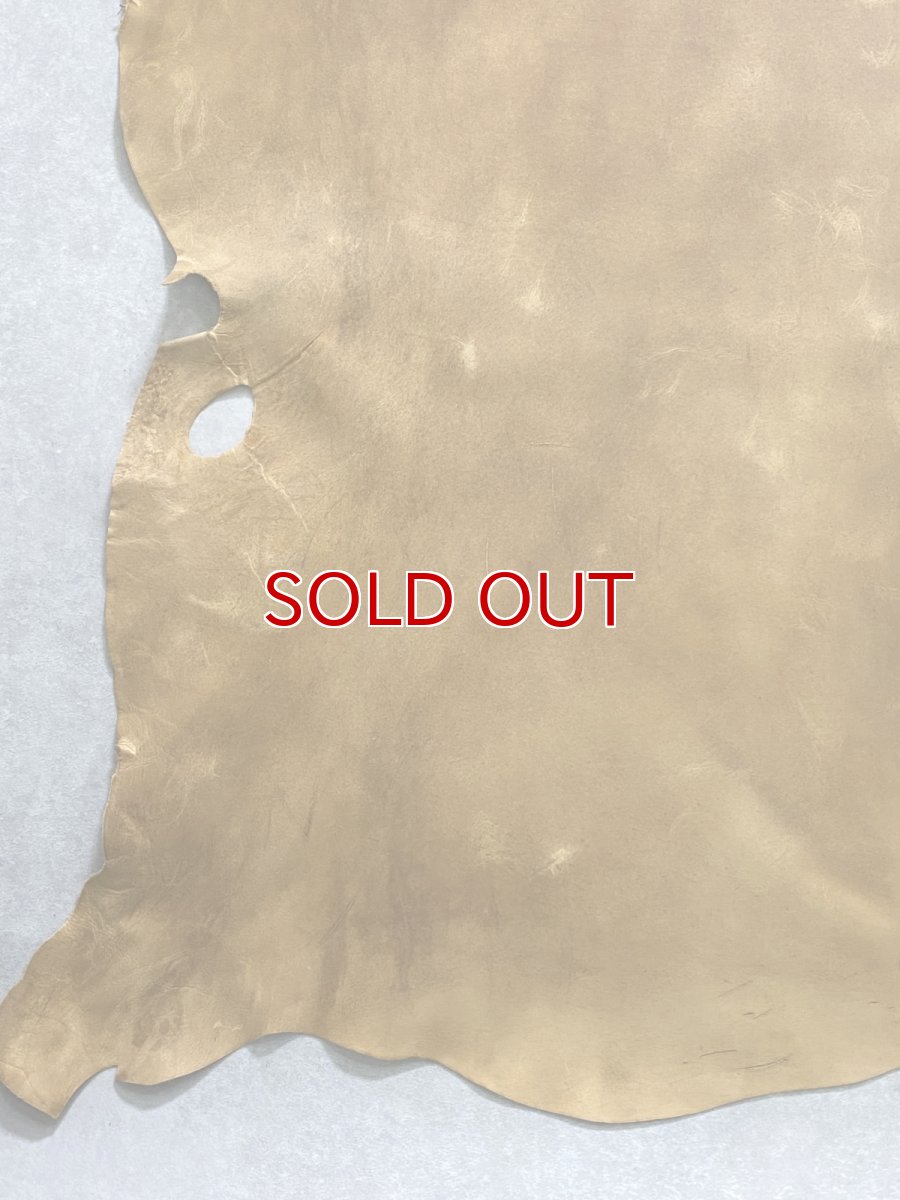 画像4: クードゥー　イエロー　クーズー　KUDU (4)