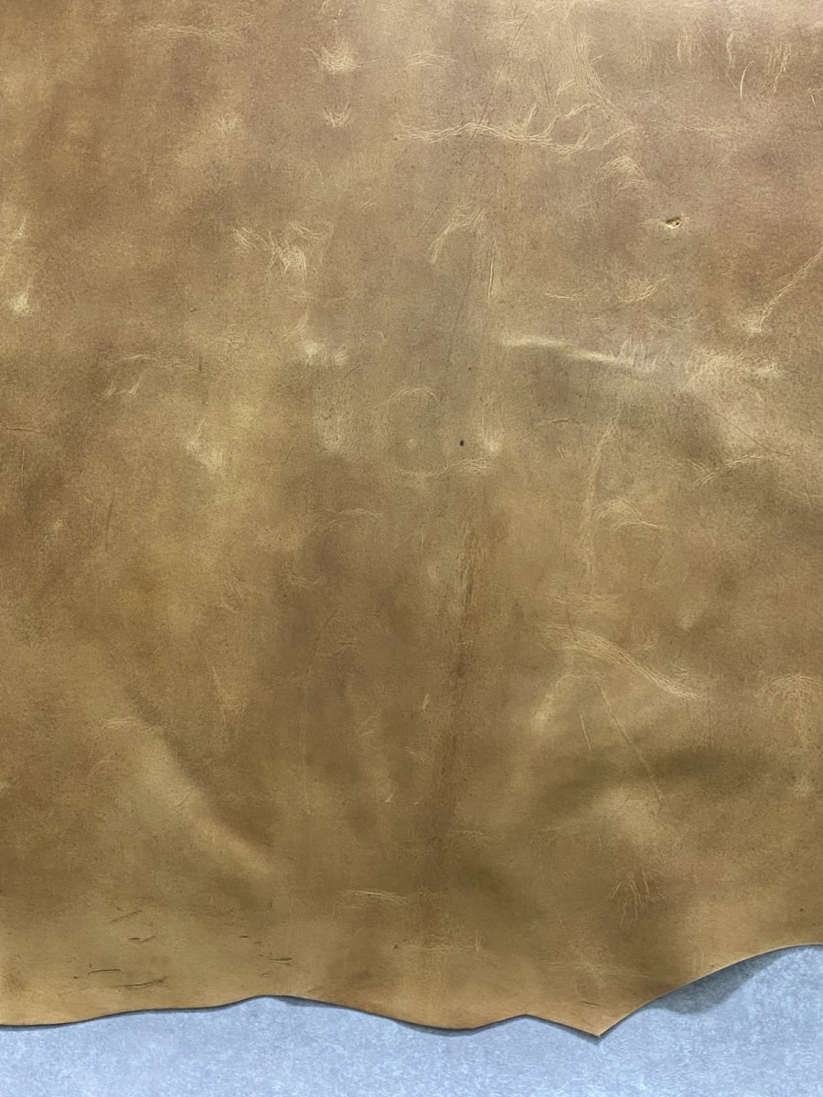 画像5: クードゥー　イエロー　クーズー　KUDU (5)