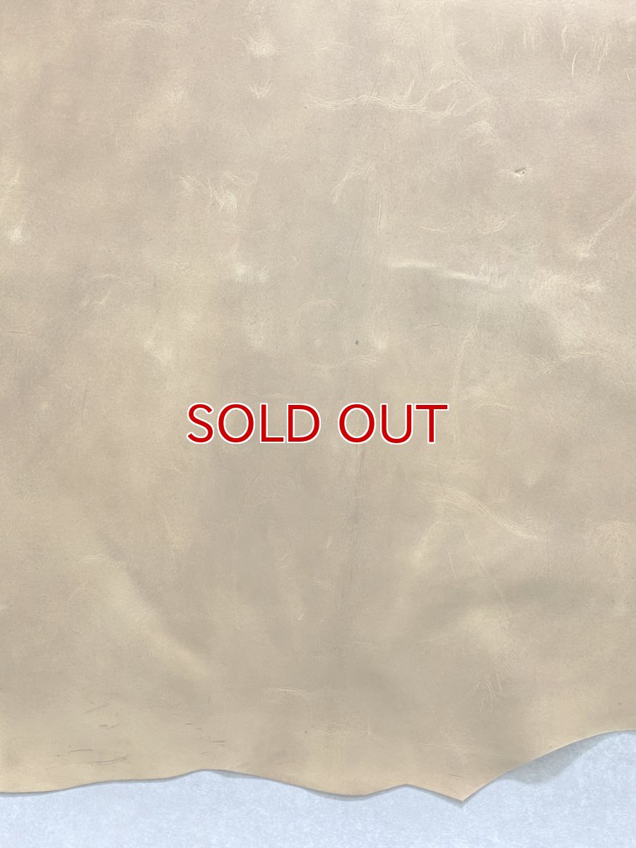 画像5: クードゥー　イエロー　クーズー　KUDU (5)