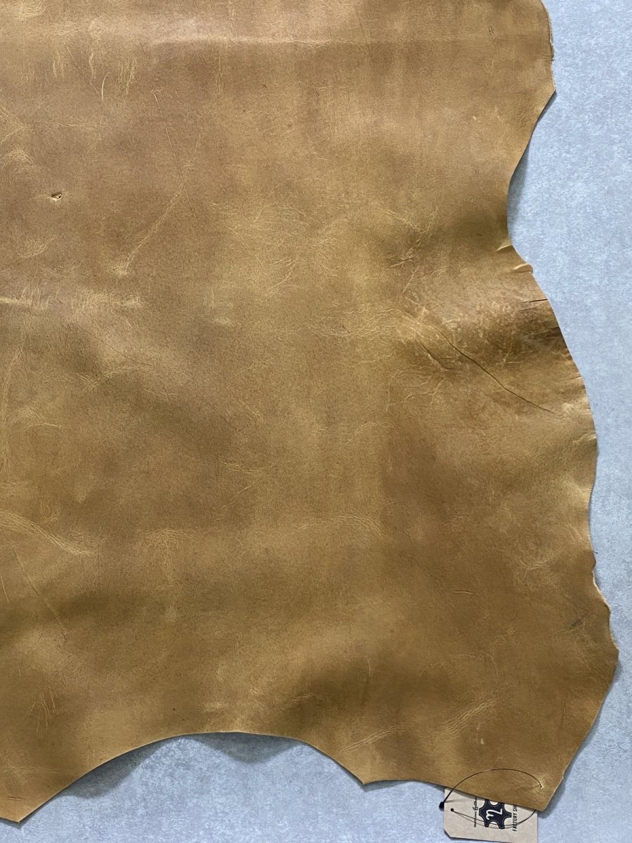 画像6: クードゥー　イエロー　クーズー　KUDU (6)