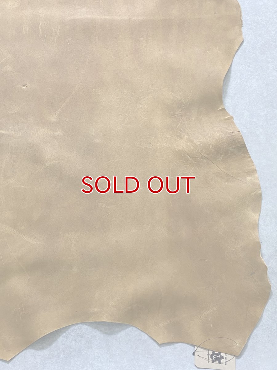 画像6: クードゥー　イエロー　クーズー　KUDU (6)