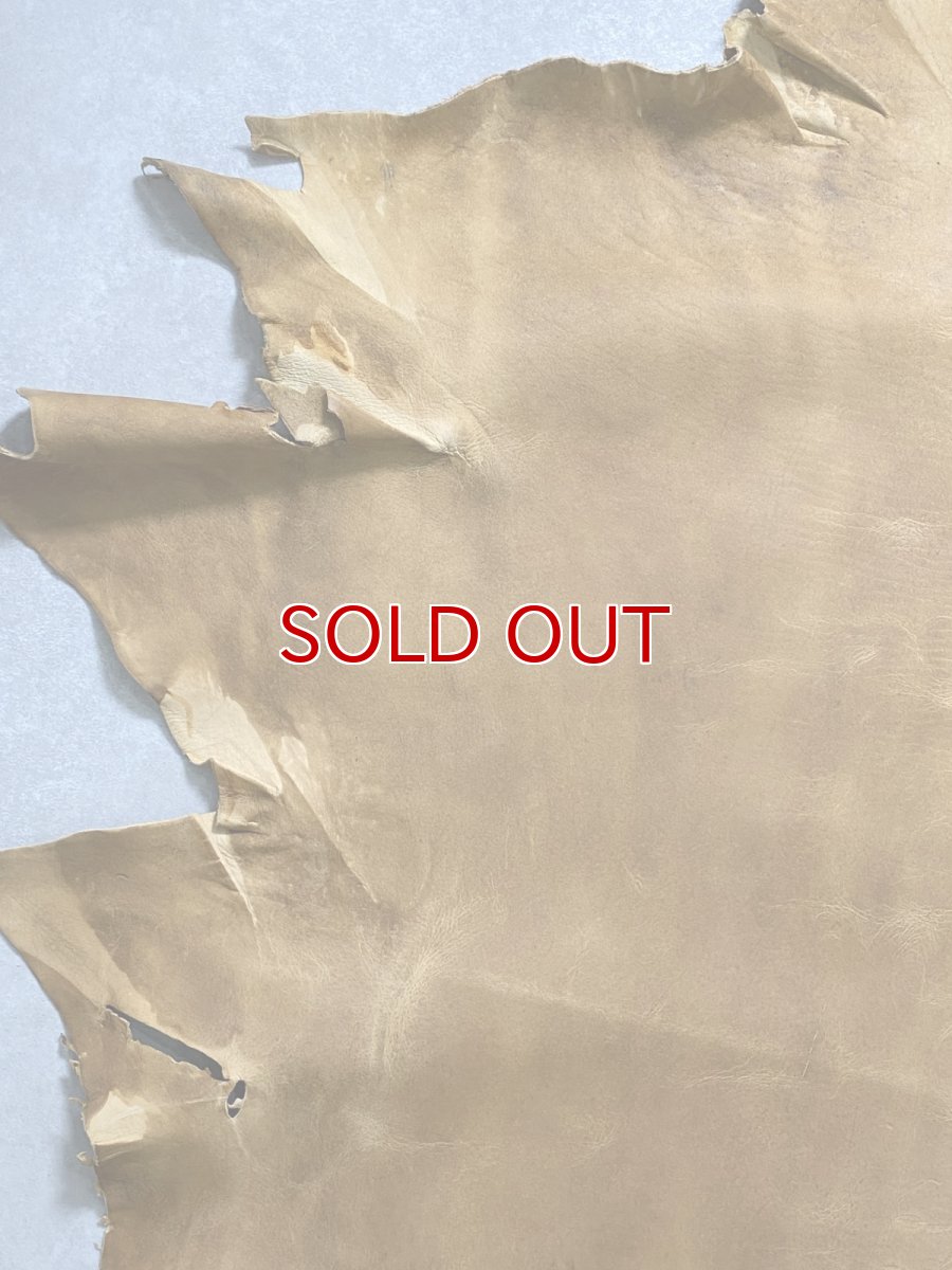 画像2: クードゥー　イエロー　クーズー　KUDU (2)