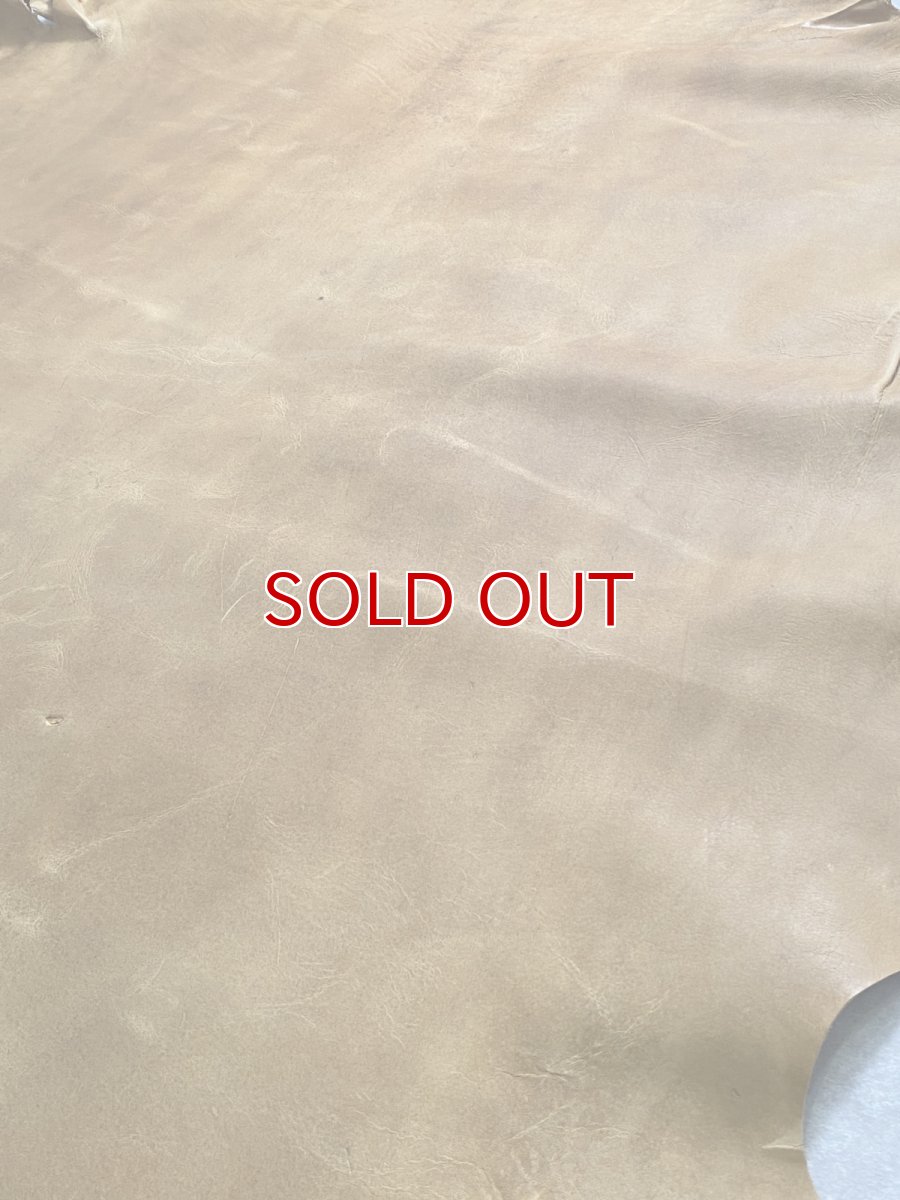 画像7: クードゥー　イエロー　クーズー　KUDU (7)