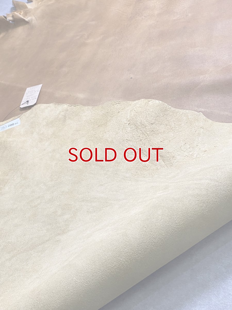 画像8: クードゥー　イエロー　クーズー　KUDU (8)