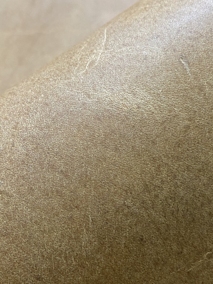 画像9: クードゥー　イエロー　クーズー　KUDU (9)