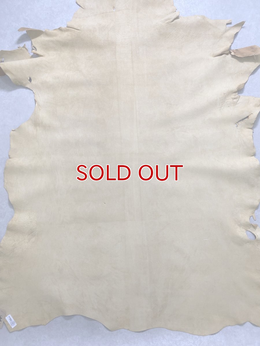 画像10: クードゥー　イエロー　クーズー　KUDU (10)