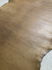 画像7: クードゥー　スタンダード　ウォッシュ　KUDU　クーズー (7)