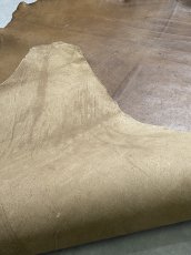 画像8: クードゥー　スタンダード　ウォッシュ　KUDU　クーズー (8)