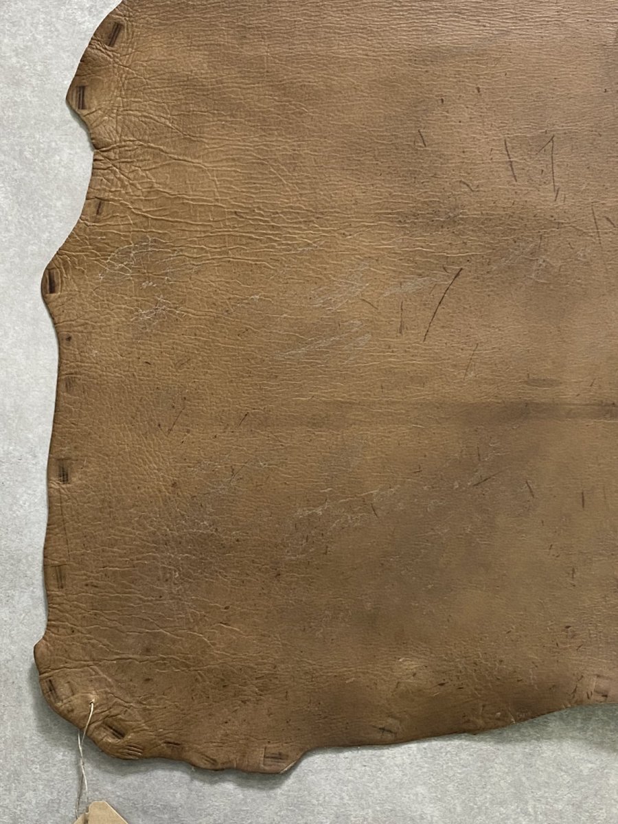 画像4: クードゥー　スタンダード　ウォッシュ　KUDU　クーズー (4)