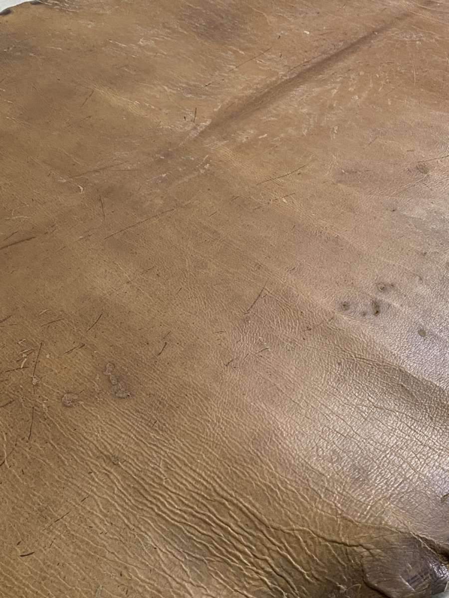 画像7: クードゥー　スタンダード　ウォッシュ　KUDU　クーズー (7)