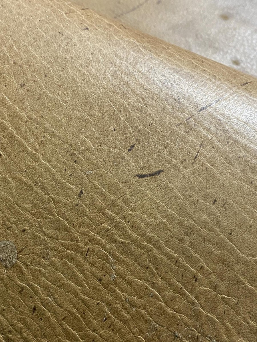 画像6: クードゥー　スタンダード　ウォッシュ　KUDU　クーズー (6)