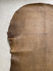 画像2: クードゥー　スタンダード　ウォッシュ　KUDU　クーズー (2)